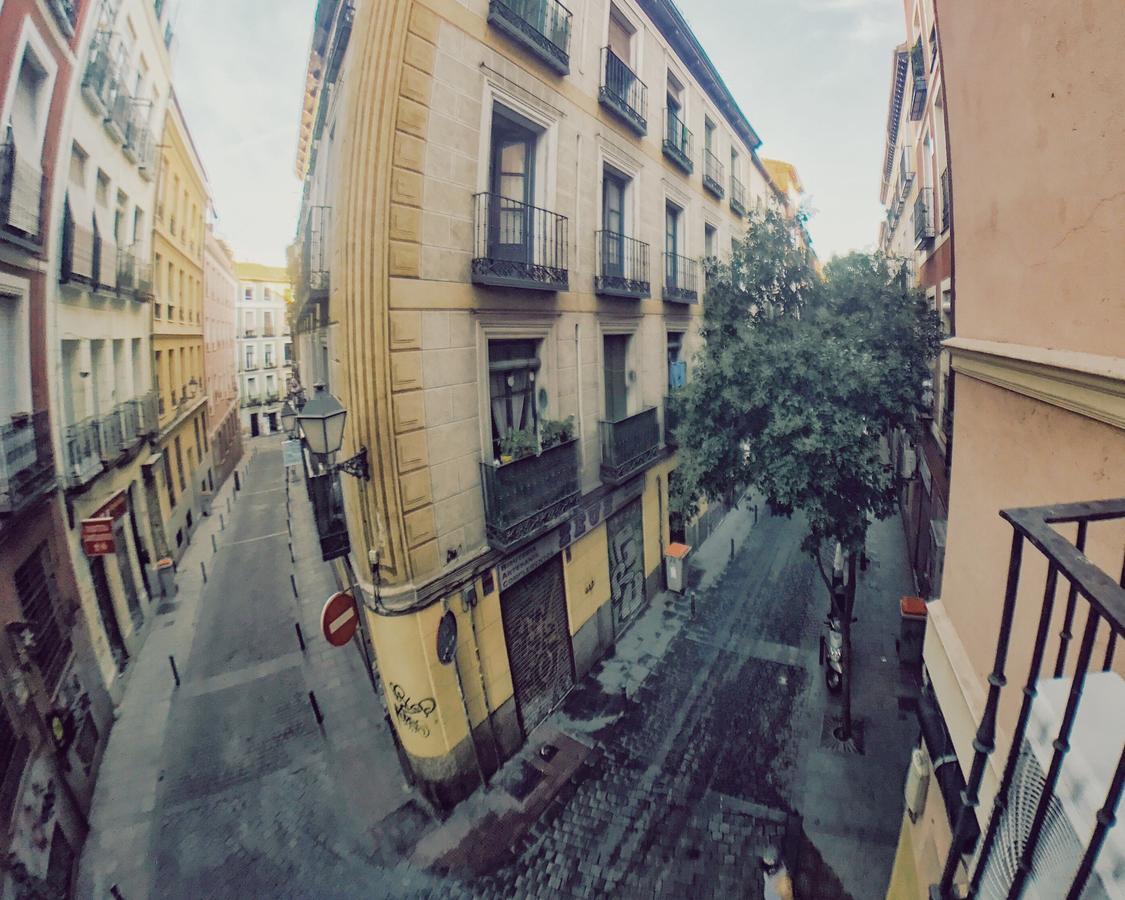 Lollipop Flats Center Ii Madrid